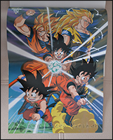 Auf der Rückseite des Posters ist Son-Goku in all seinen Formen zu sehen =)