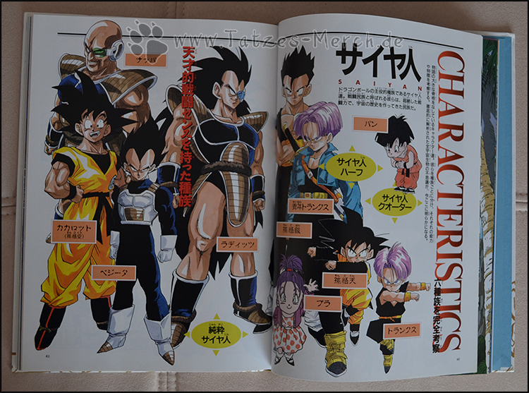 Livre D'art Dragon Ball Z Daizenshu N°4 World Guide - Édition Japonaise 1995, Très Bon état
